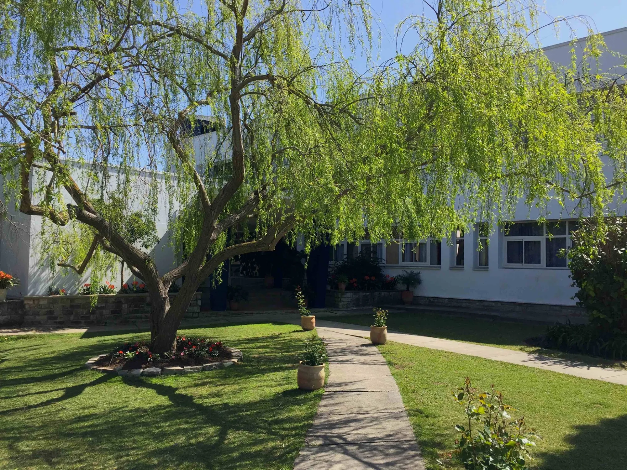 American School of Tangier