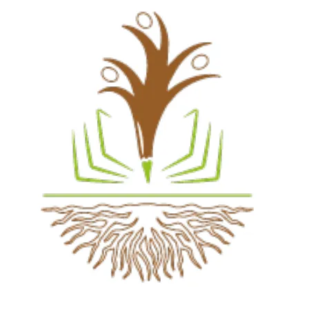 Institut Petite Racine